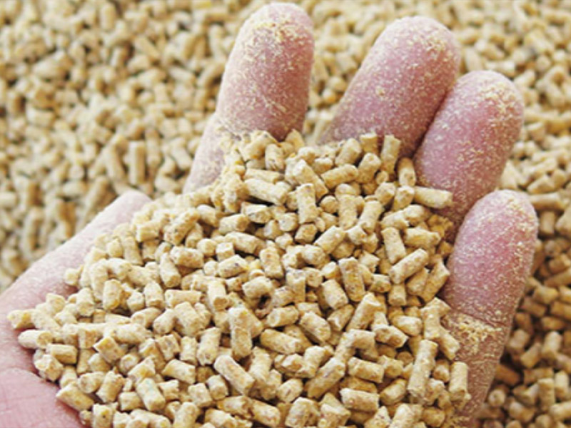 Animal Feed