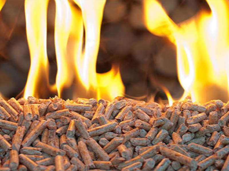 Bio Fuel